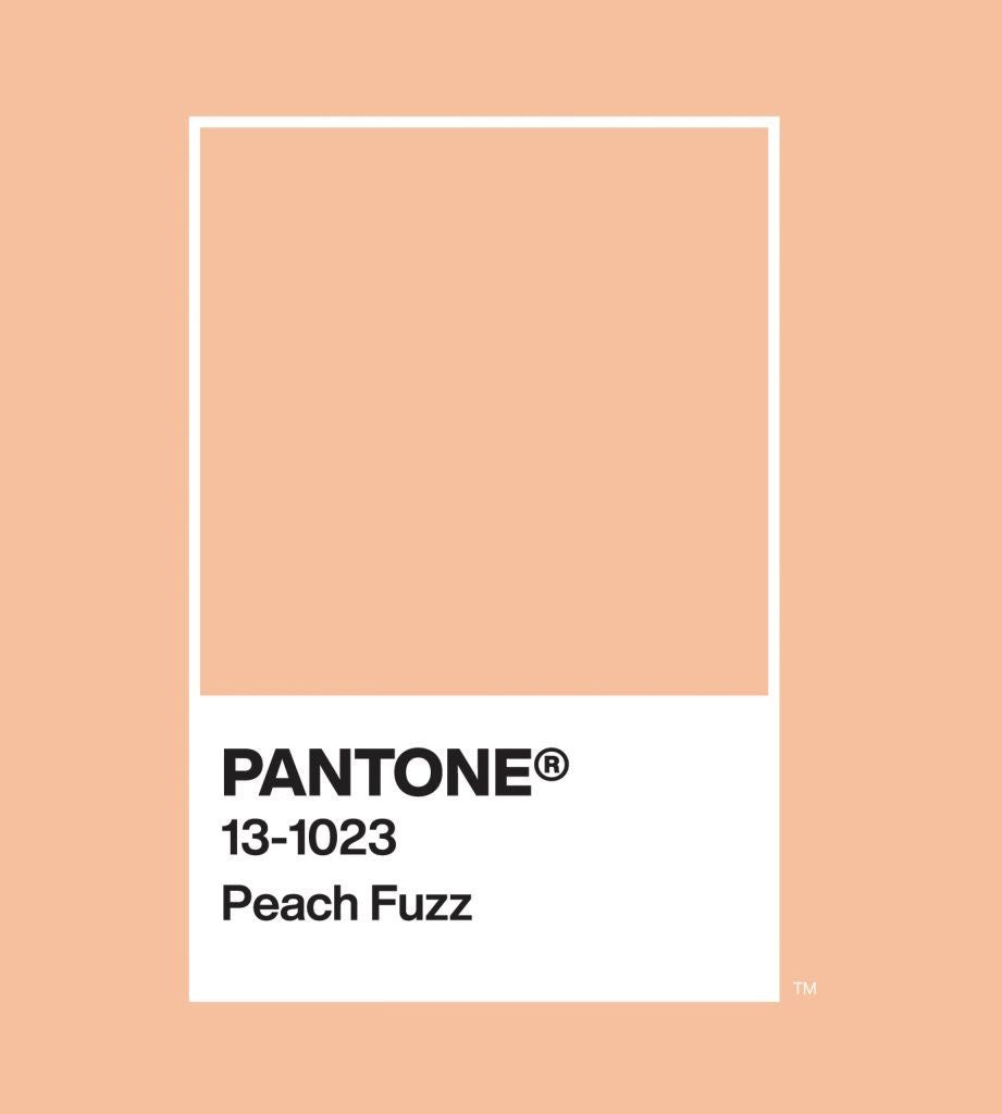 Couleur de l’année 2024 : Peach Fuzz
