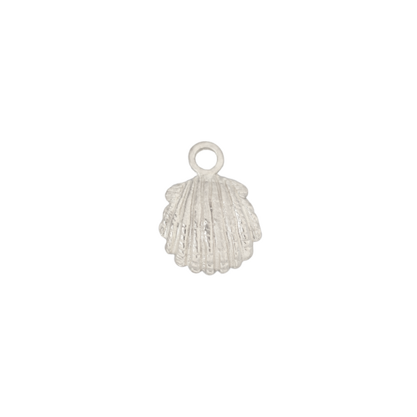 Breloque - Coquillage Coque Argent