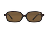 Lunettes Calamansi - Tortoise