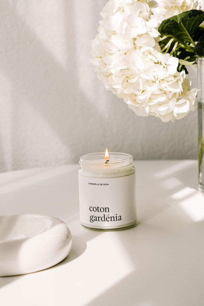 Chandelle - Coton gardénia