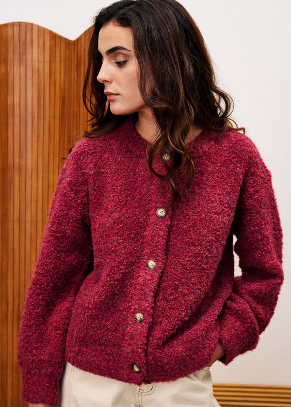 Cardigan Selkirk