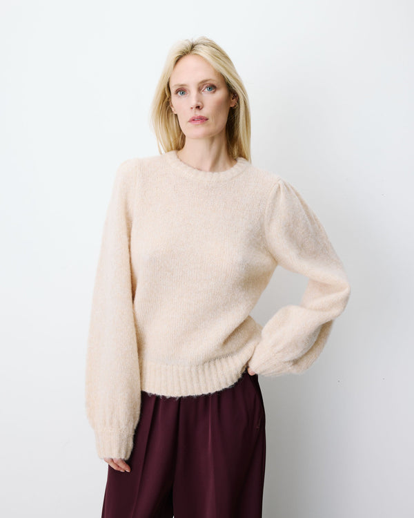 Tricot Antoine
