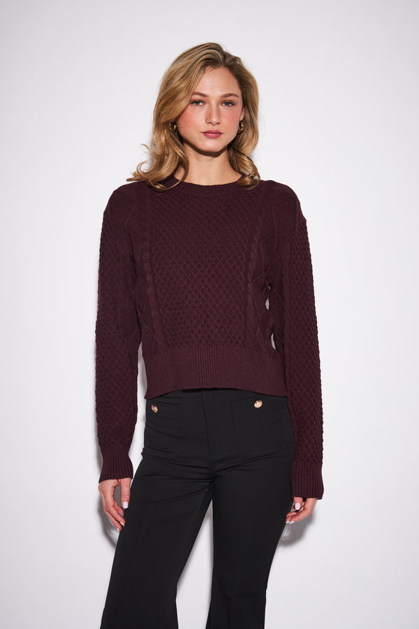 Tricot Julien